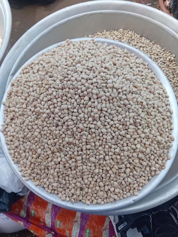 Fresh beans